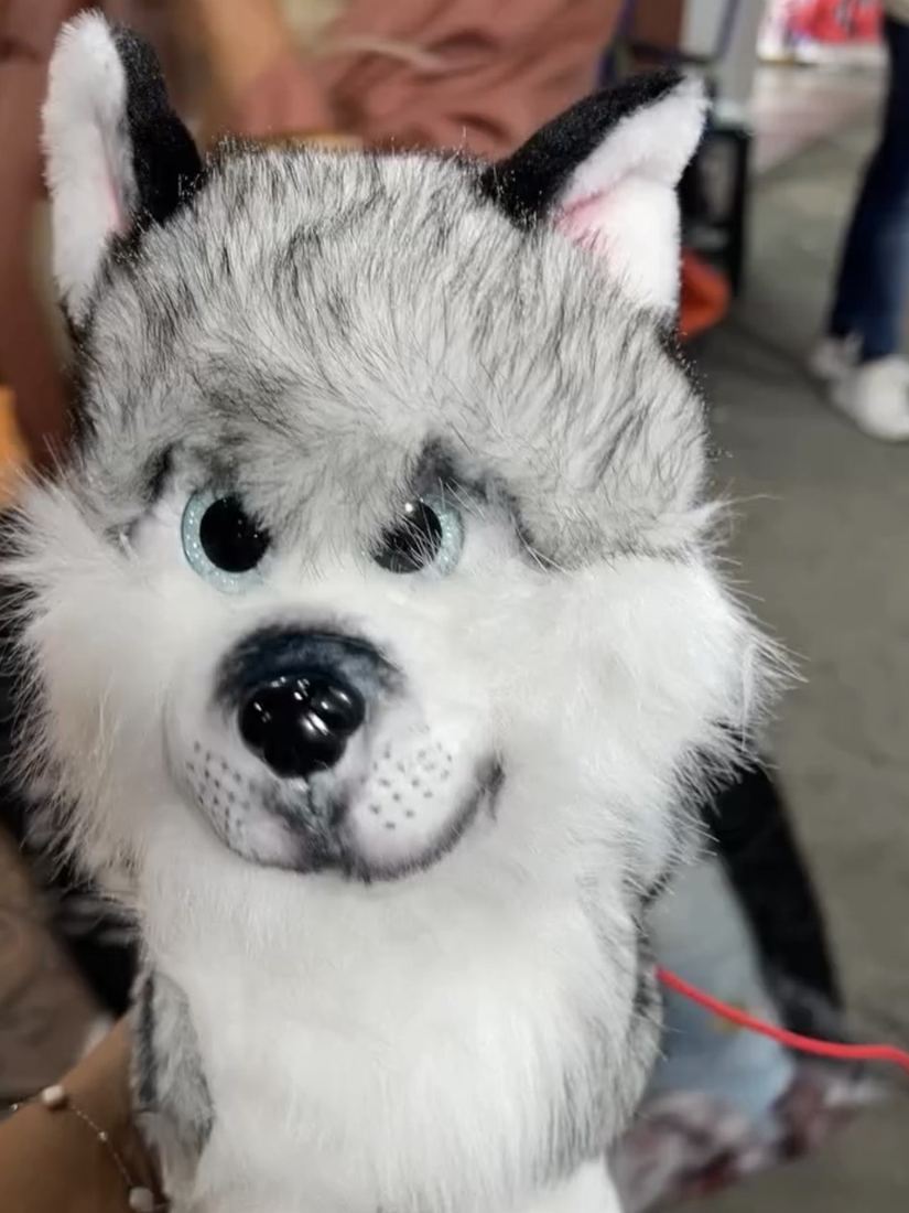 Cachorro reborn Husky